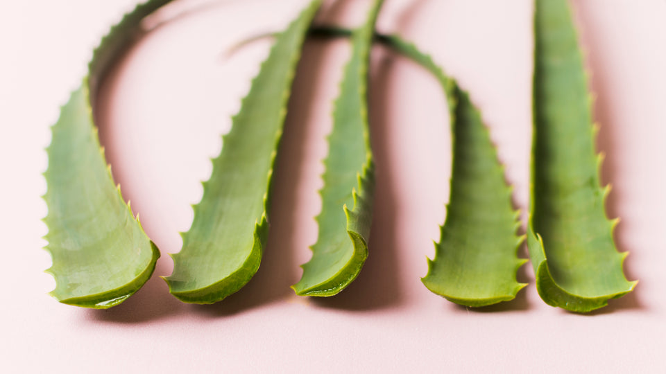 Nalovea Gamme Aloe Vera