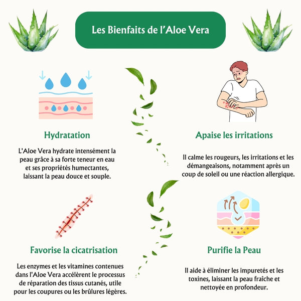 Gel réparateur à l'Aloe Vera